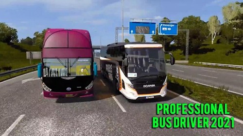 专业巴士司机2021中文版